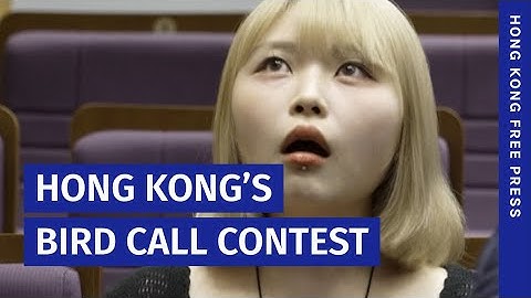 Bird call contest seeks to boost conservation awareness in Hong Kong