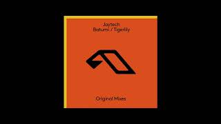 Jaytech - Tigerlily [Extended Mix] (Dolby Atmos) (3D Binaural)