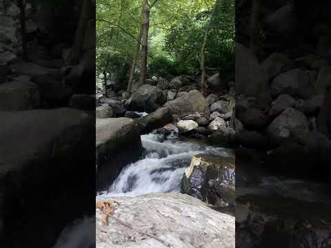 صوت خرير المياه مع تغريد الطيور