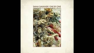 Dana Gavanski - One By One [Official Audio] chords