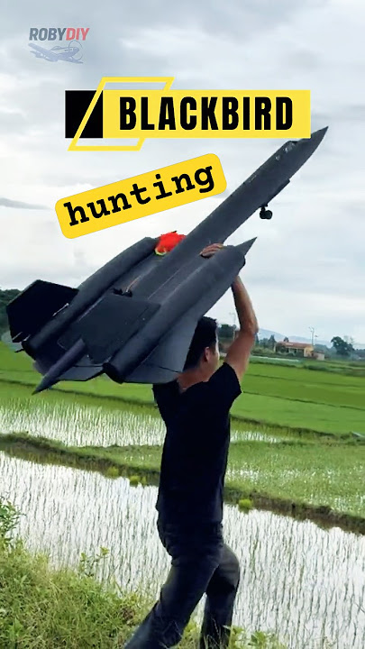 Fastest SR-71 RC Plane I’ve Ever Seen!