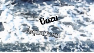 uozu aquarium test movie　with canon eos60d＋ef50mm f1.8 ⅱ