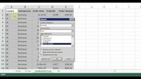 Microsoft Excel 2017/2017 pt 8 (Sort, Filter, Freeze Row, Subtotal, Data Validation)
