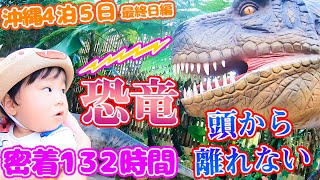 【密着132時間】パイナップルパークで恐竜に遭遇！頭から離れないあの歌が...。雨でも楽しめる沖縄旅行♪ 〜男女双子4人家族の南国旅〜【Day4-5】【生後1歳7ヶ月】