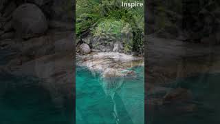 Alan Watts – Money, The Big Misunderstanding (#Shorts of Wisdom 64) #alanwatts