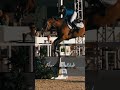 Final chase over the last to win 🏆