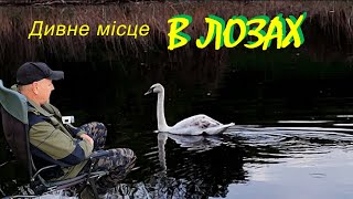 Що ЗМУСИЛО нас покинути таке КАЗКОВЕ МІСЦЕ..??? 🌴🌴 Fishing Video