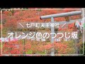 【Vlog・カメラ女子】オレンジ色のつつじ坂（七戸町）
