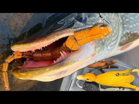 PIKE ON SNAKES, MICE, DUCKS!? Creative lures 5 years later.