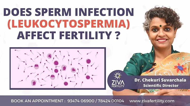 Does sperm infection affect fertility ? || Leukocytospermia || Dr. Chekuri Suvarchala