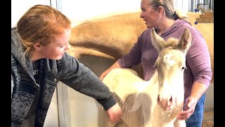 Secret Hills Ranch 2024 Foals! by Alanna Light 1,560 views 3 weeks ago 5 minutes, 45 seconds