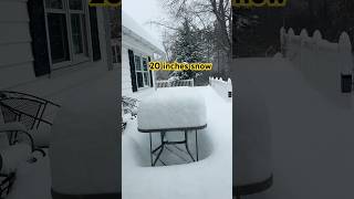 20 Inches Of Snow In My Backyard Maine After A Snowstorm 2026 maine snowfall storm