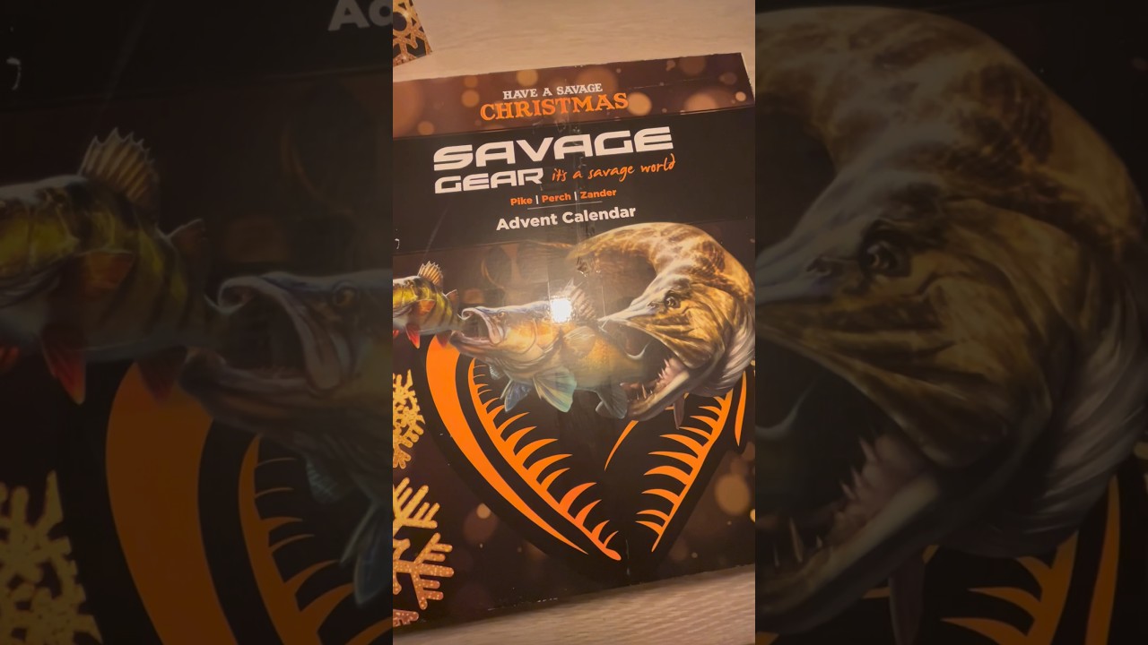 Savage Gear Predator Advent Calendar 2023 Day 1 #savagegear #shorts 