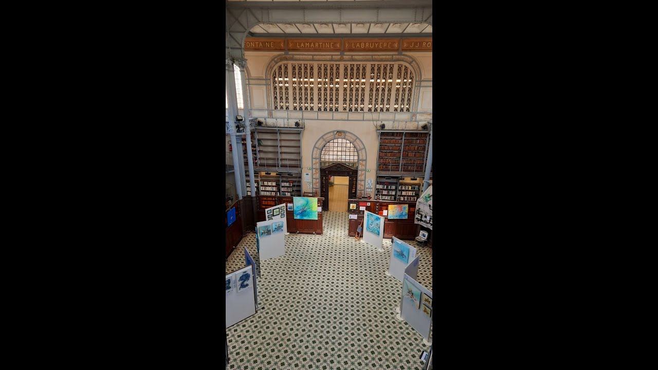 Exposition artist Margot Asphe à la Bibliothèque Schoelcher Martinique film Martinique 1ère