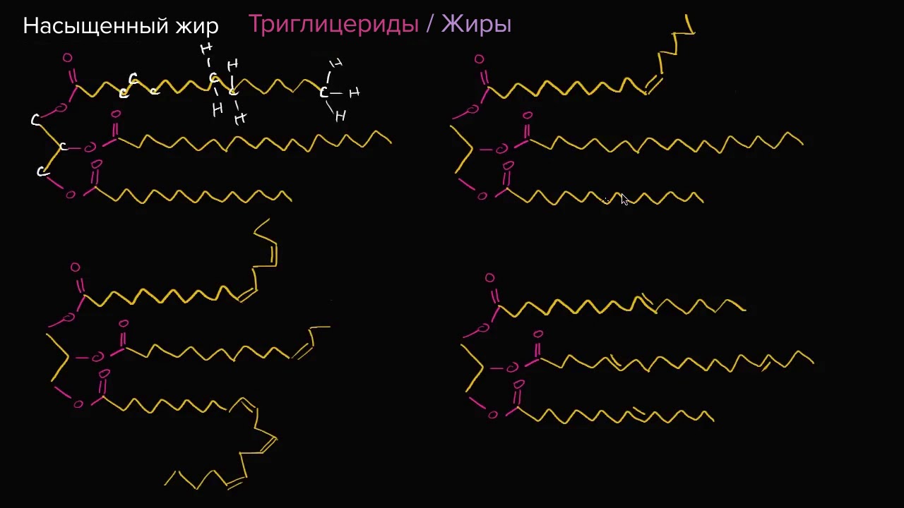 Насыщенные жиры, ненасыщенные жиры, трансжиры (видео 6)| Макромолекулы | Биология