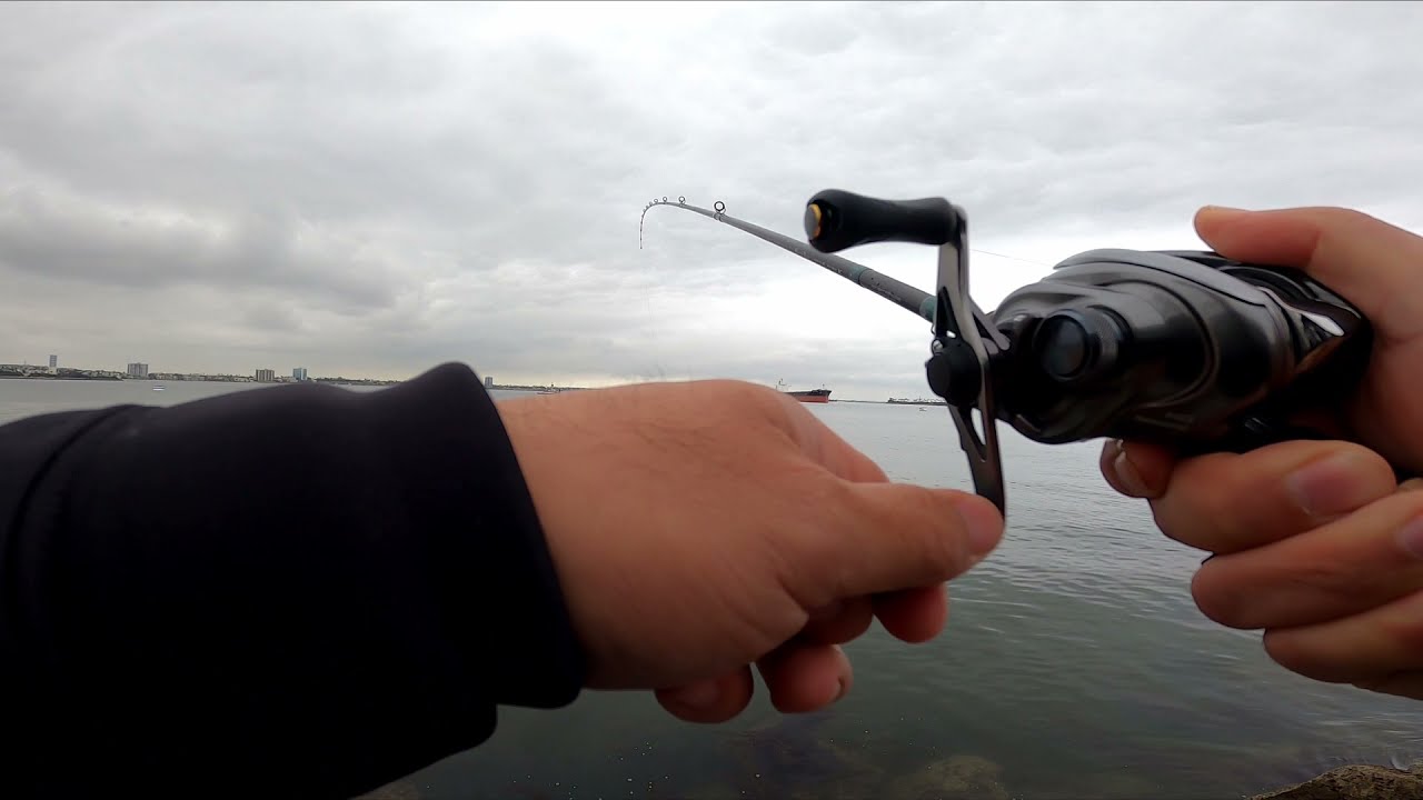 Ep. 5 Mackerel and Tom Cod @ Pier J Long Beach, CA