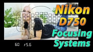 Nikon D750 Tutorial Training  Focusing Systems  How to