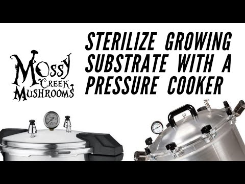 Video: How To Sterilize Mushrooms