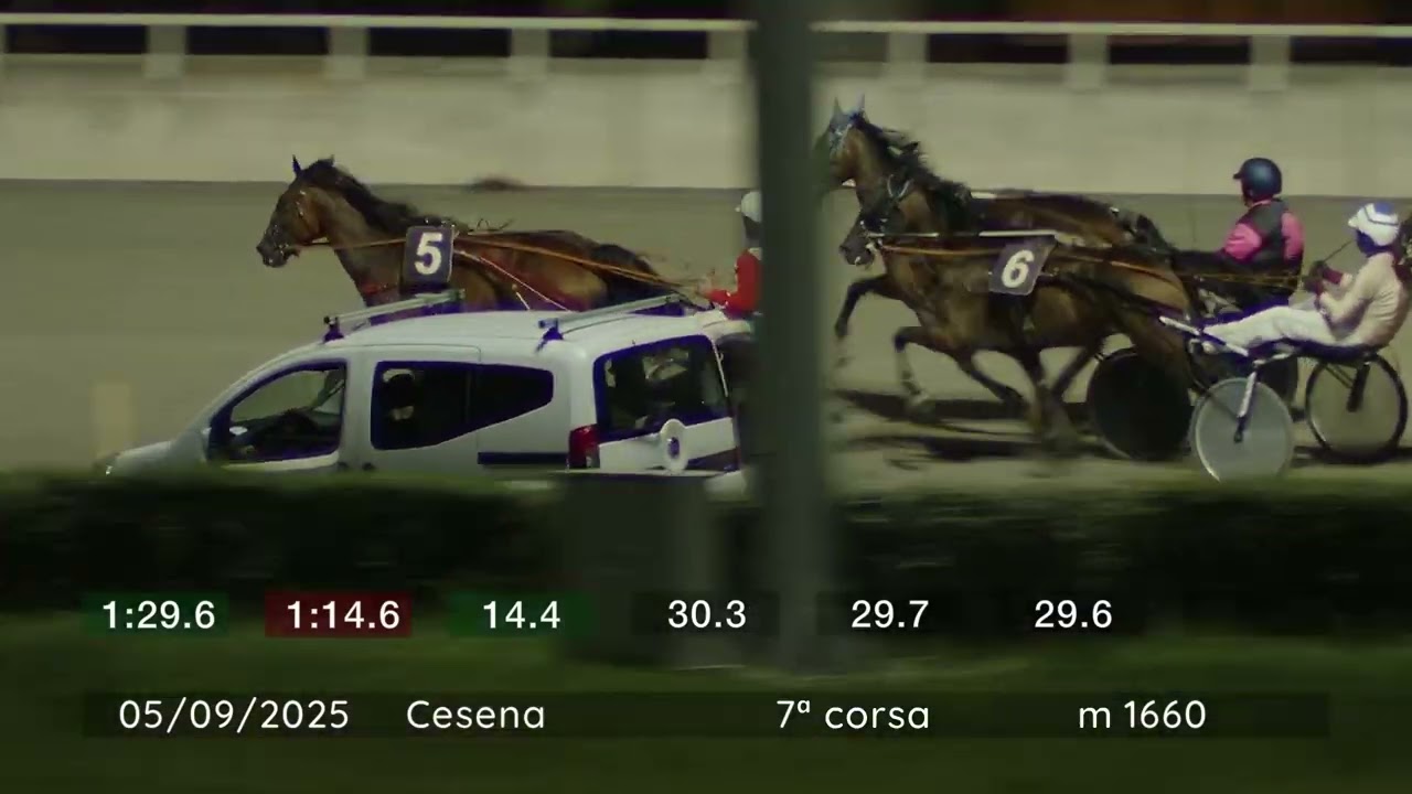 2025 09 05 | Corsa 7 | Metri 1660 | Premio Isibetpro Virtual Kyron