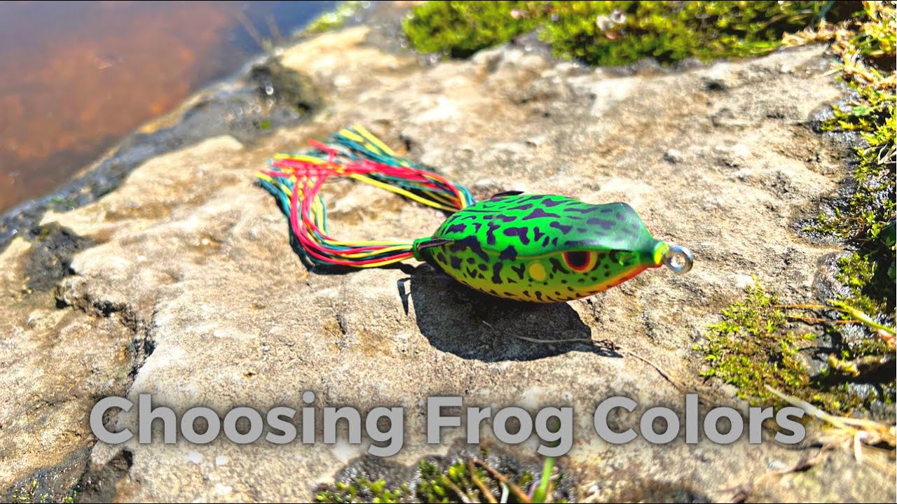 SPRO's King Daddy Frog Gets A New Color