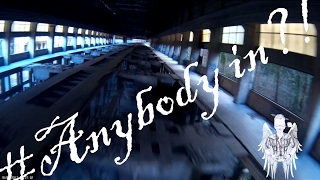 Trailer - ANYBODY IN?!?! - Amazing Mega Spot - Drone Freestyle
