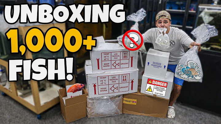 Unboxing MOST DANGEROUS FISH SHIPMENT!! (1000+ fish)
