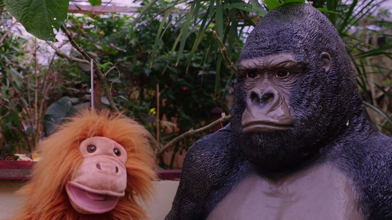 Profiad Gwaith Gareth!  Pili Palas