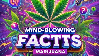 5 Mind blowing facts about Marijuana/ cannabis sativa