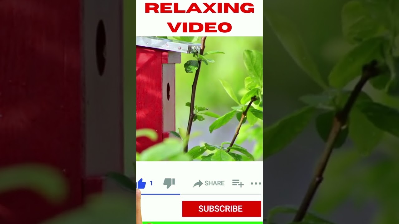 Beautiful Relaxing Music - Stress Relief,  Positive Energy, Studying, Meditation, 