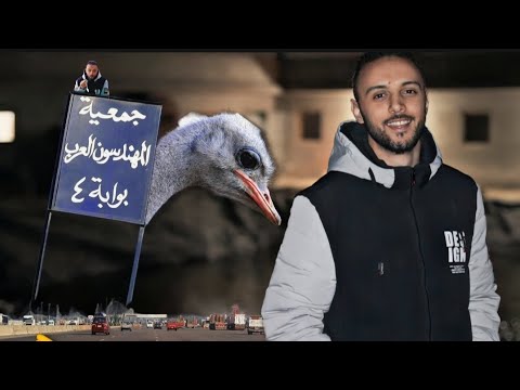 تعالو نشوف مزارع نعام العبور سمك وسفندي وكلاب هاسكي