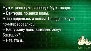 🐔Сидят Дома Муж И Жена...Сборник Новых Смешных Анекдотов Про Мужа И Жену!