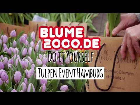 Hello Spring | Tulpen Event | Blume2000.de