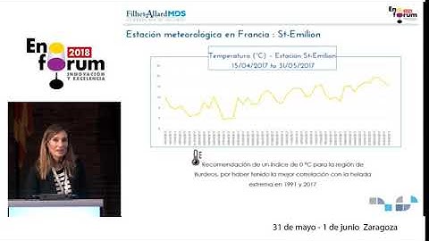 Parametric risks in the wine sector