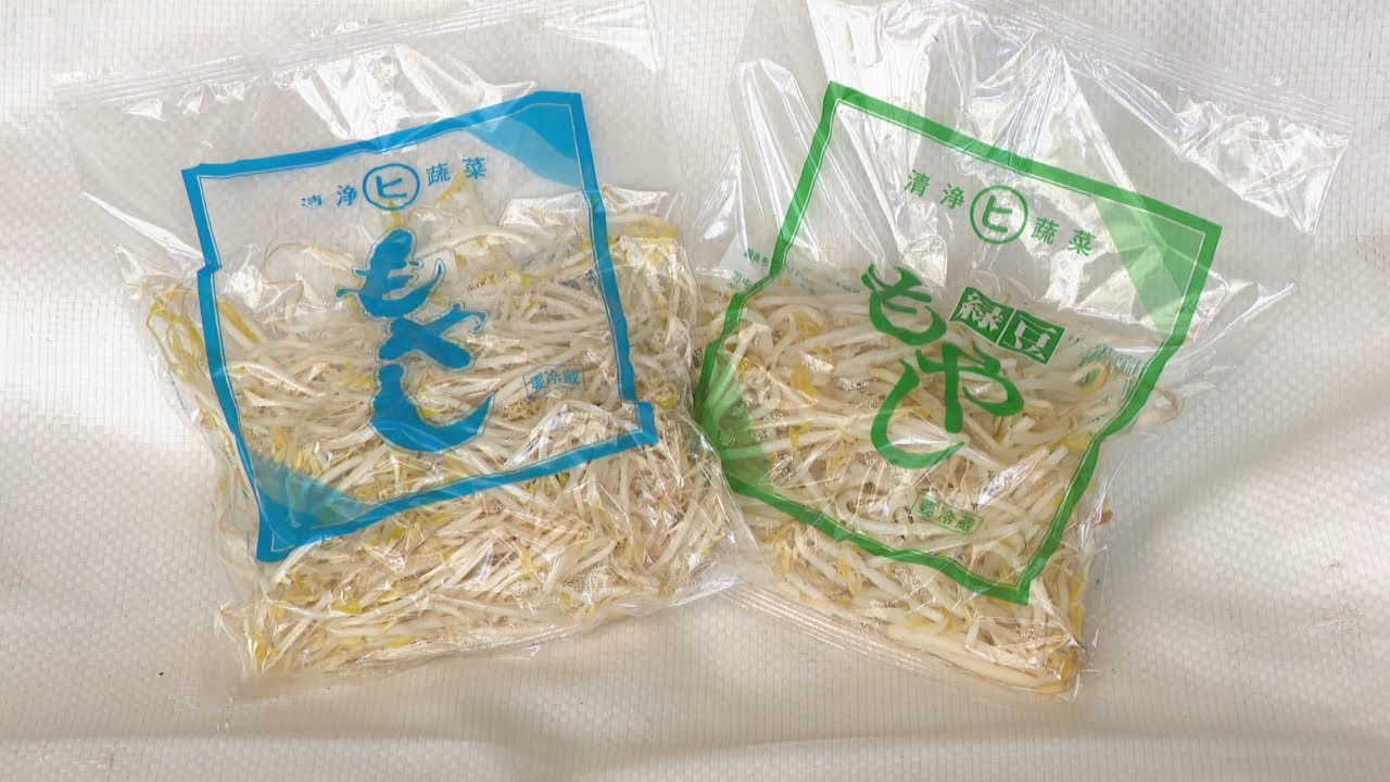 もやし農家「値上げをお願いするかも」 生産コスト増大で悲鳴 岡山
