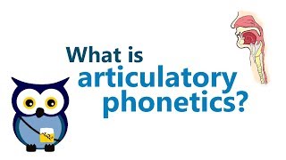 Articulatory Phonetics 1 - RE-UPLOAD IN HD