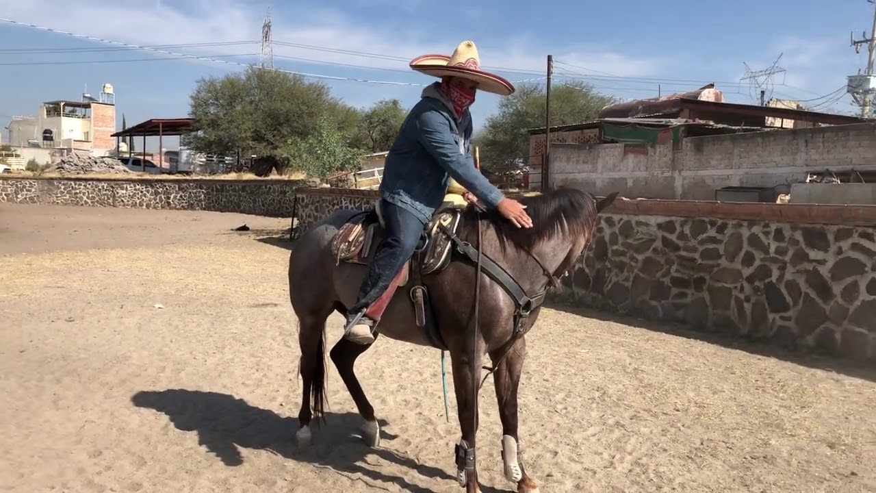 Ejercicios para lados (3ra parte)