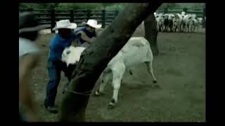 promocional de la Dama de Troya