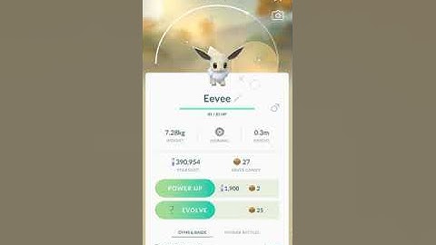 EVOLVING A SHINY EEVEE INTO A SHINY JOLTEON