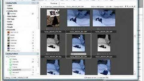 Integrating Microsoft Expression Media with Photoshop