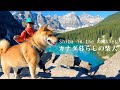 ロッキーを代表する氷河湖｜柴犬ナラと行くモレーンレイクとラーチバレーの展望ハイキング｜4K｜モレーンレイク｜Shiba Inu at Moraine Lake