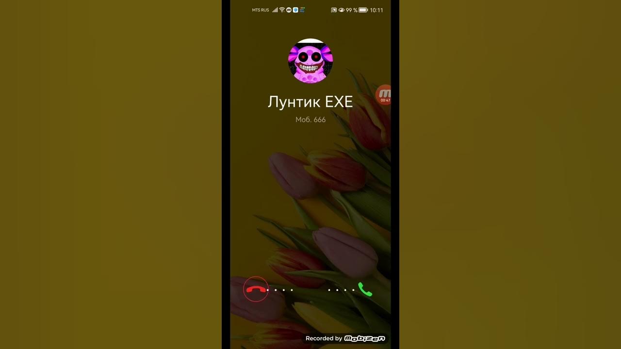 Номер exe. Номер лунтика. номер лунтика настоящий. настоящий номер лунтика exe. мне звонит лунтик.