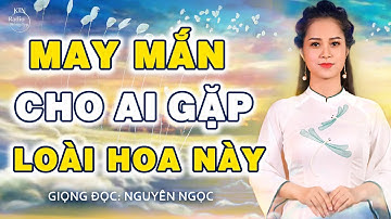 LOÀI HOA MANG LẠI ĐIỀM LÀNH TỪ THIÊN THƯỢNG | NGUYÊN NGỌC | SỐNG ĐẸP RADIO