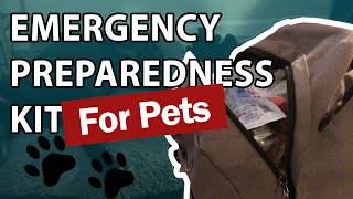 How to Prepare Your Pets for Emergencies | Three Legged Lab Dog Vlog