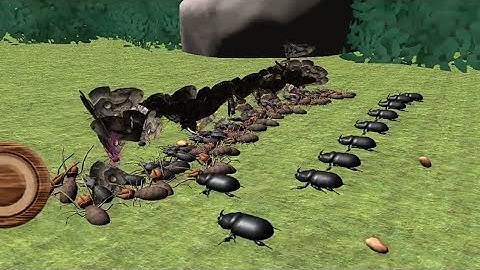 Bug Battle Simulator 3D | gameplay walkthrough part 5 | Red Chilli | android iOS