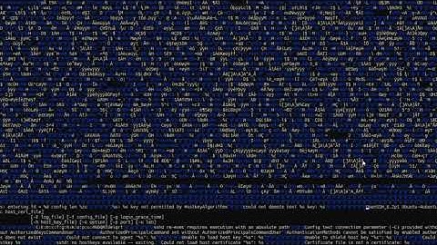 Wipe Out Your Linux Server