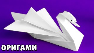 Оригами лебедь из бумаги. КАК СДЕЛАТЬ ЛЕБЕДЯ ИЗ БУМАГИ