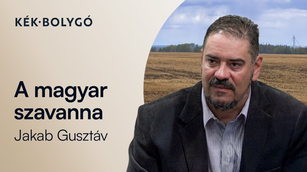 A magyar szavanna - kamillával és pipaccsal