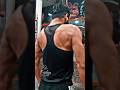 Shoulder💪|#Fitness#youtubeshorts#shorts #fitnessmotivation#gym   #ShoulderExercises#sahil_fitness78