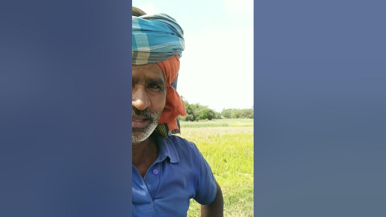 bakri-bheda-me-kya-antar-hai-shorts-comedyvideo-youtube