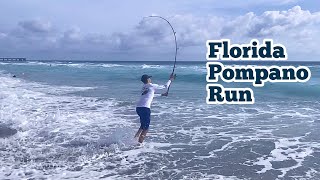 Florida's Most DESIRED Fish! (Spring Florida Pompano Fishing) by JK Fishing 218 views 1 year ago 8 minutes, 50 seconds